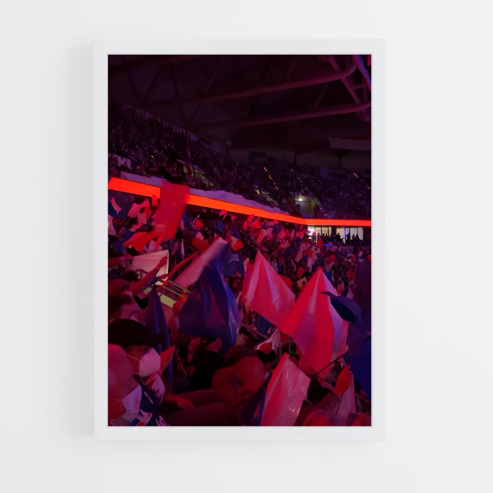 Poster Adler mannheim – affiche Hockey sur glace (vue 3)